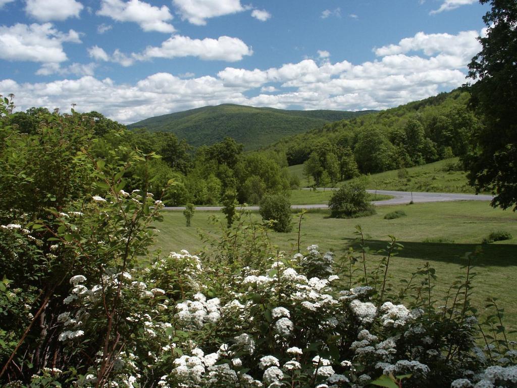 Margaretville Mountain Inn B&B Exterior foto
